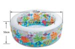 Piscine d&rsquo;aquarium gonflable