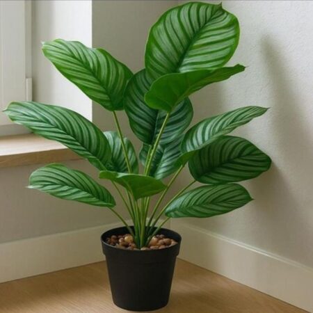 Pot de fleur