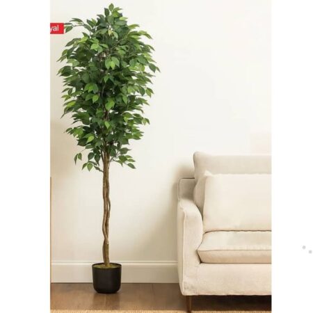 Pot de fleurs