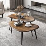 Table basse (108)