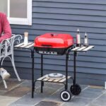 Barbecue (14)