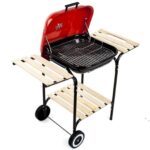 Barbecue (14)